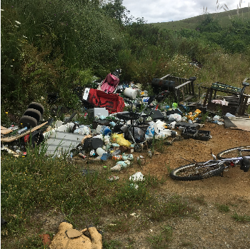 Northland rubbish SH10 Dec 2018-266